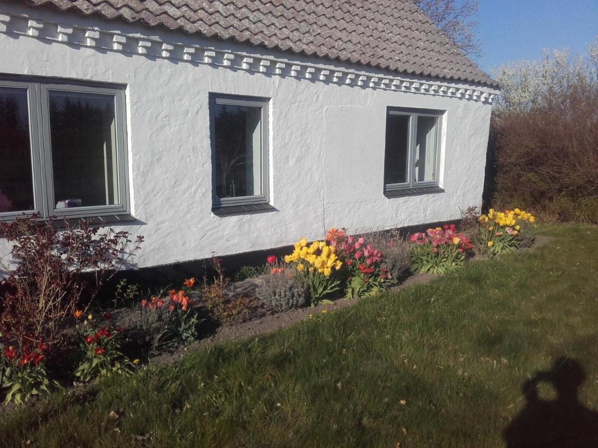 Lindholt Bed & Breakfast Fjerritslev Luaran gambar